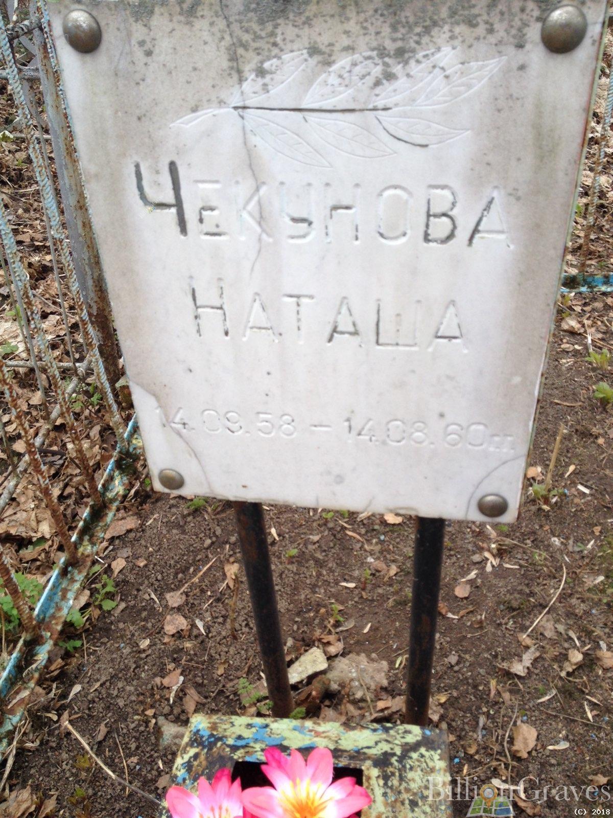 Чекунова Наташа