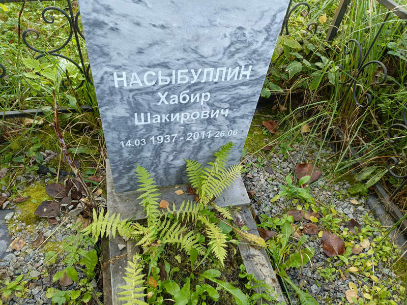 Хабир Насыбуллин Шакирович