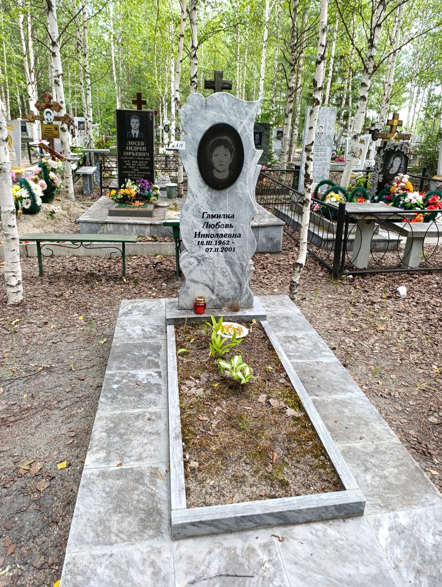 Гамилка Любовь Николаевна