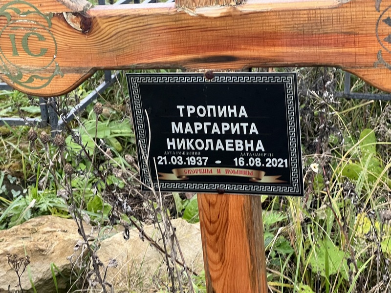Тропина