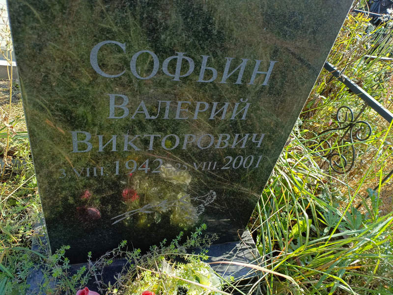 Софьин