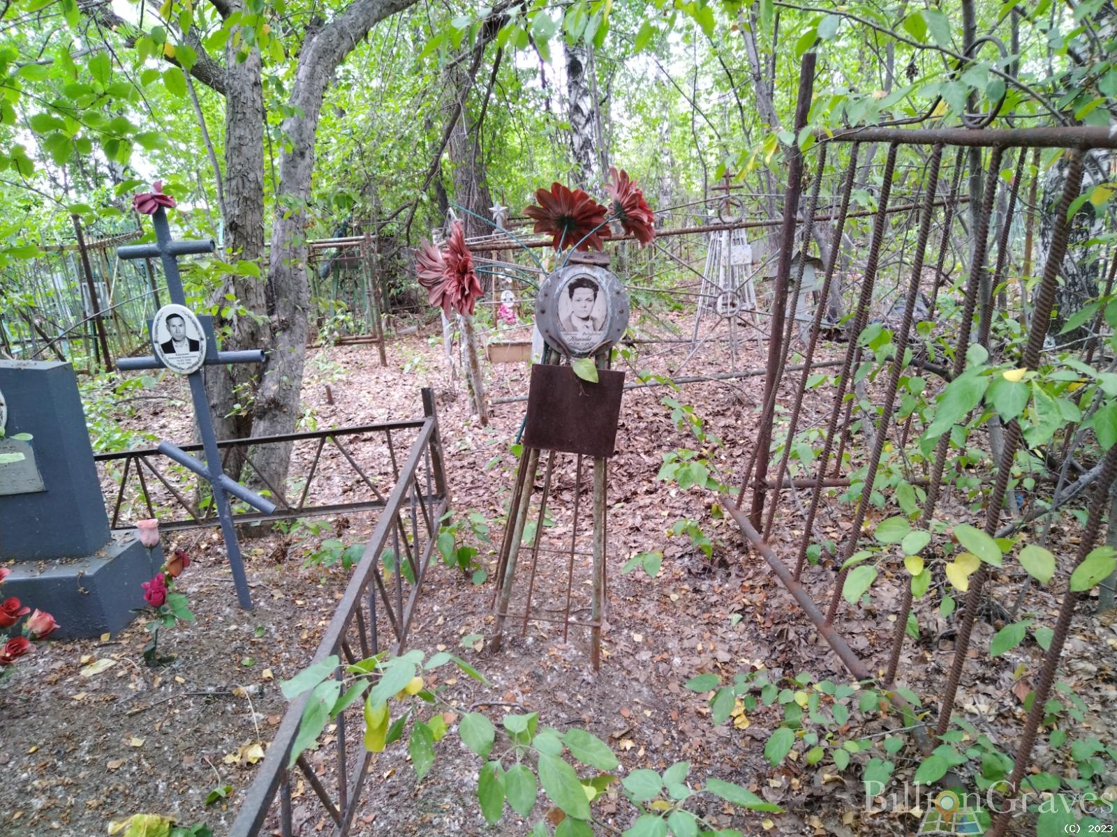 Котова Палина Федоровна