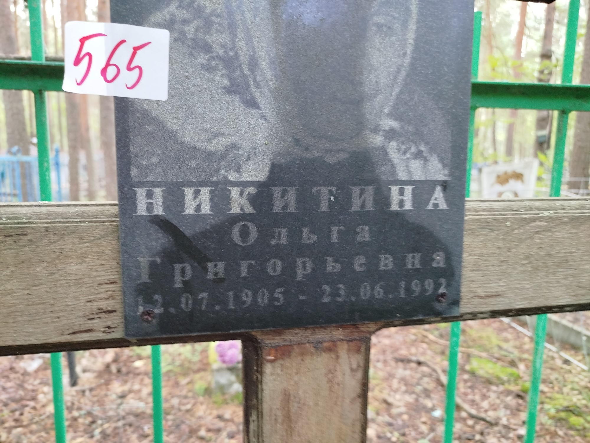Никитина Ольга Григорьевна