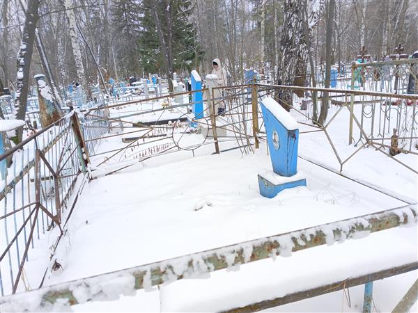 Фриз Александр Петрович