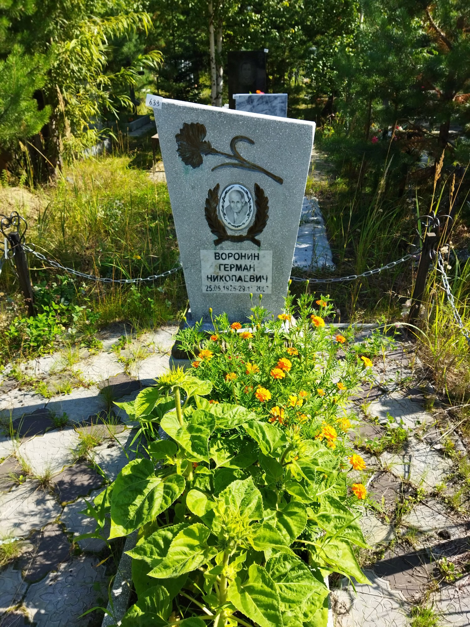 Воронин Герман Николаевич