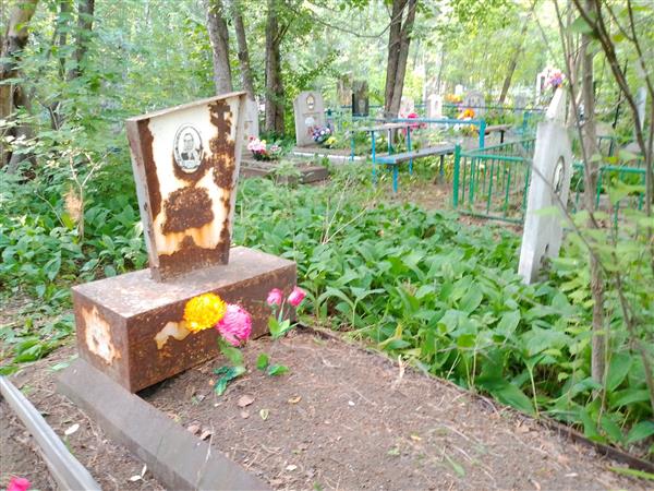 Шкляева Д. А.