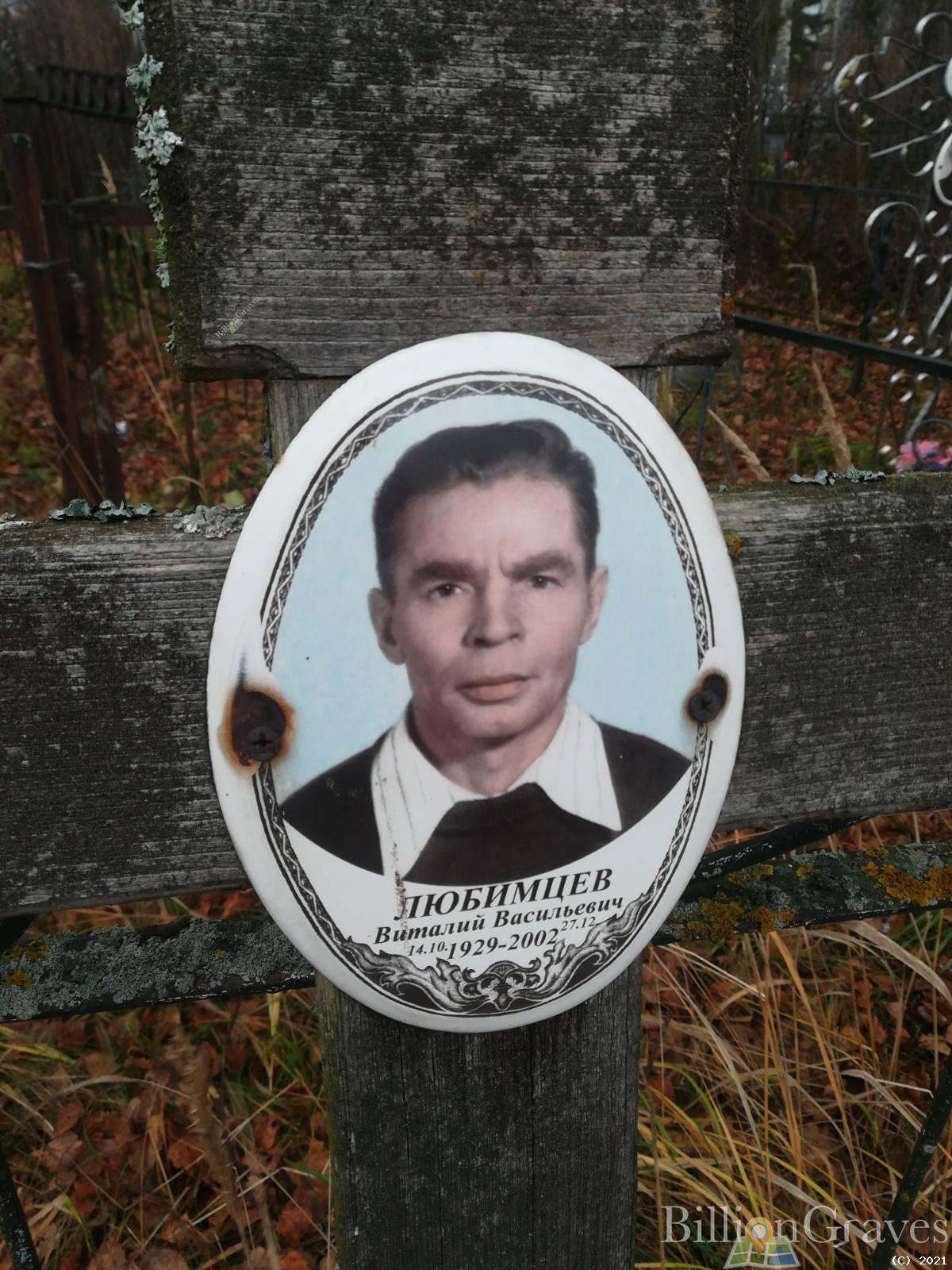 Любимцев Виталий Васильевич