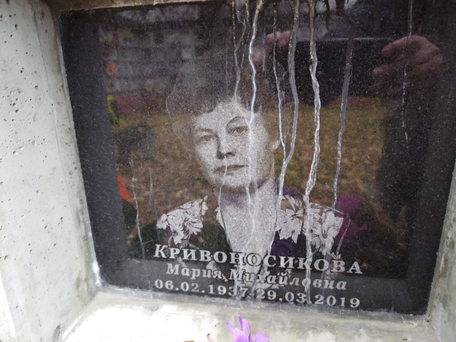 Кривоносикова Мария Михайловна