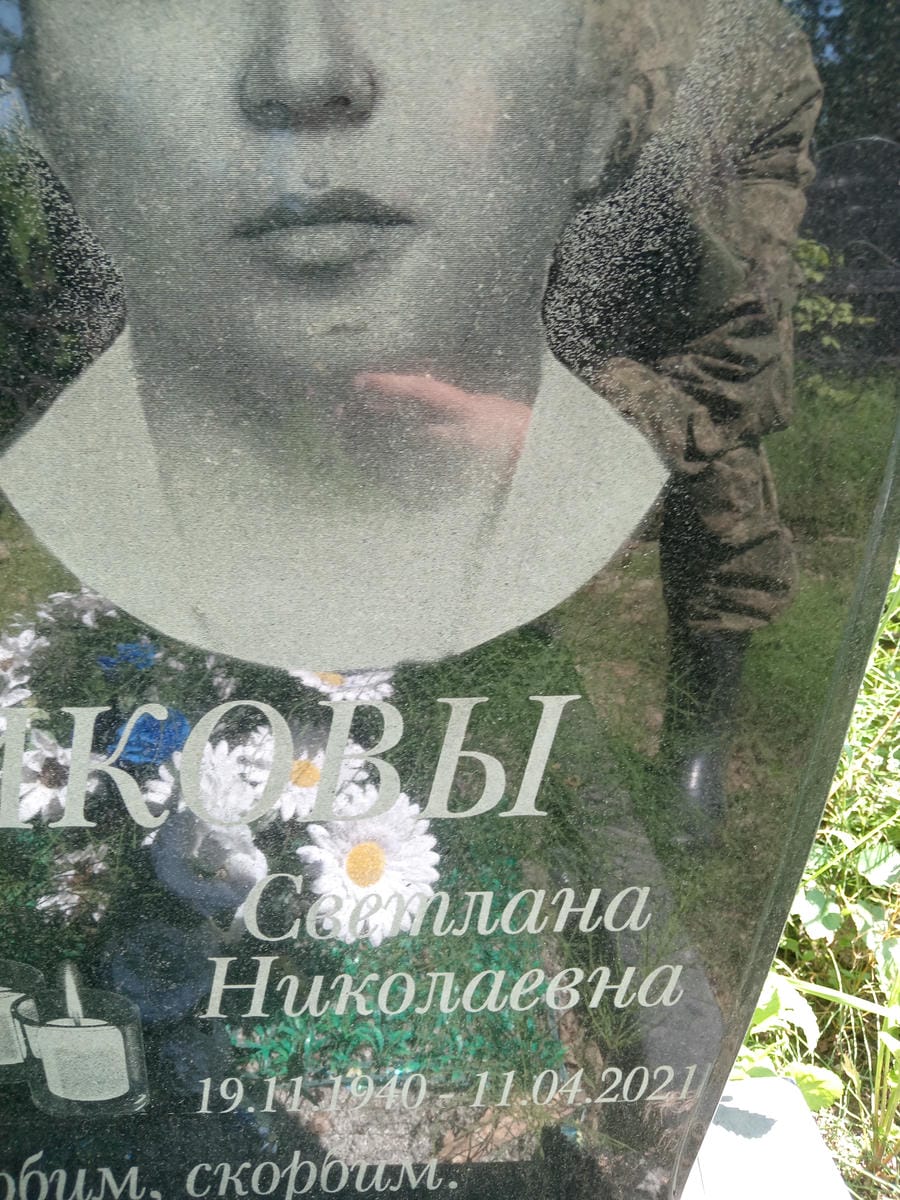 Вшивикова Светлана Николаевна