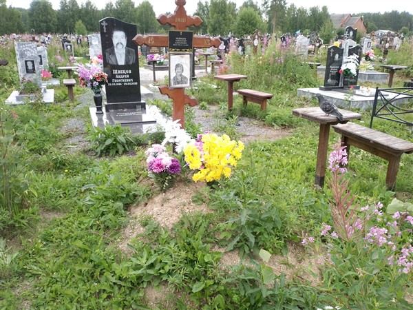 Медведев Александр Алексеевич