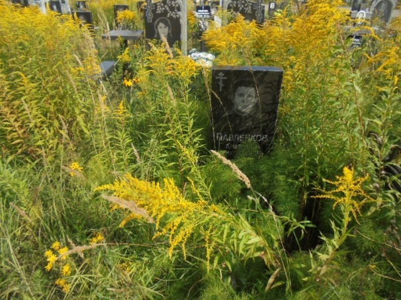 Павленков Анатолий Николаевич