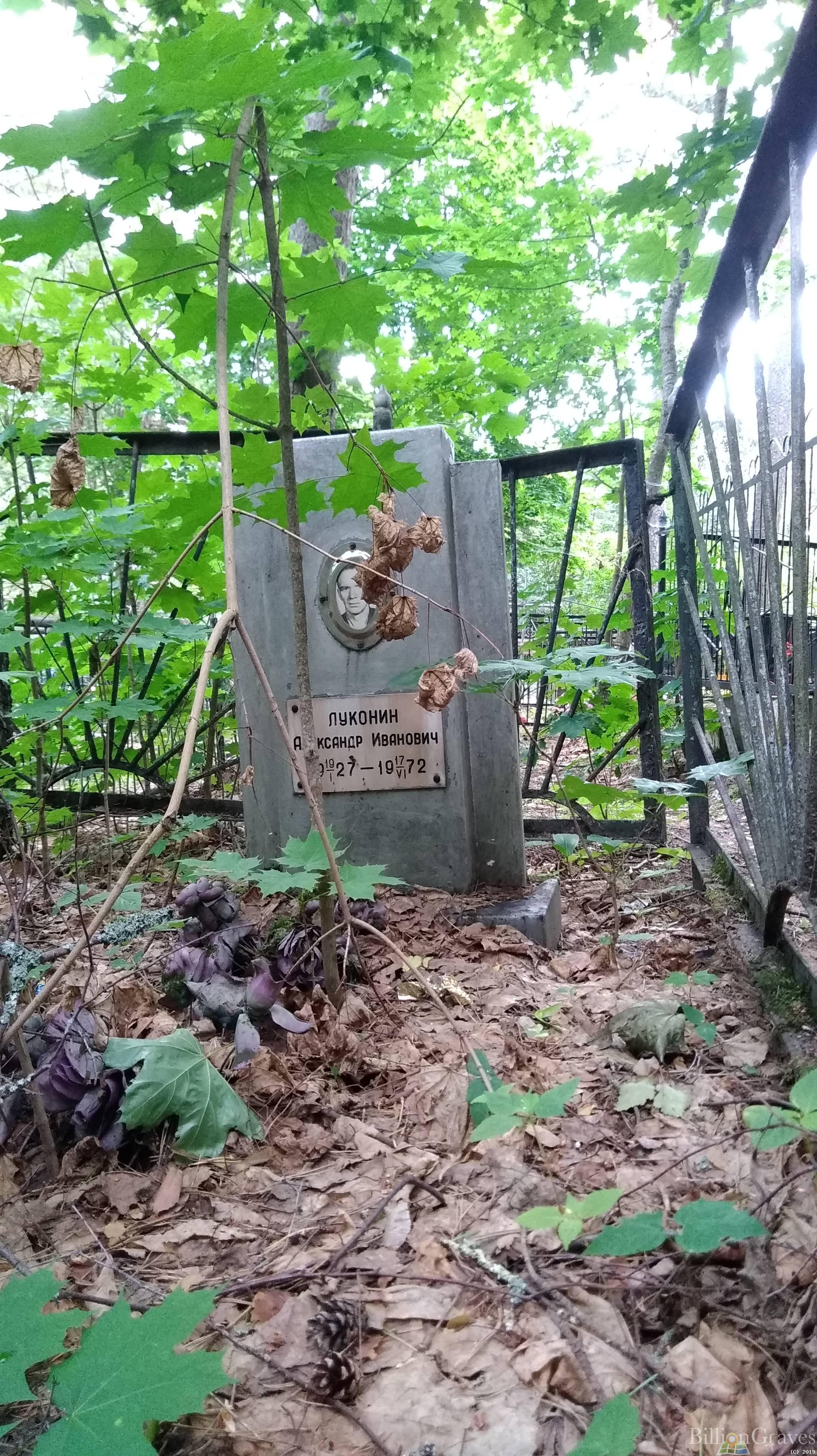 Луконин Александр Иванович