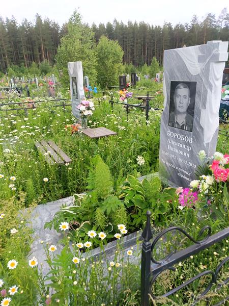 Боробов Александр Иванович