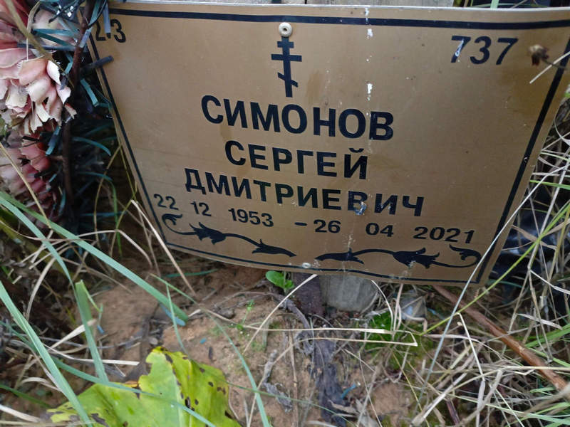 Симонов
