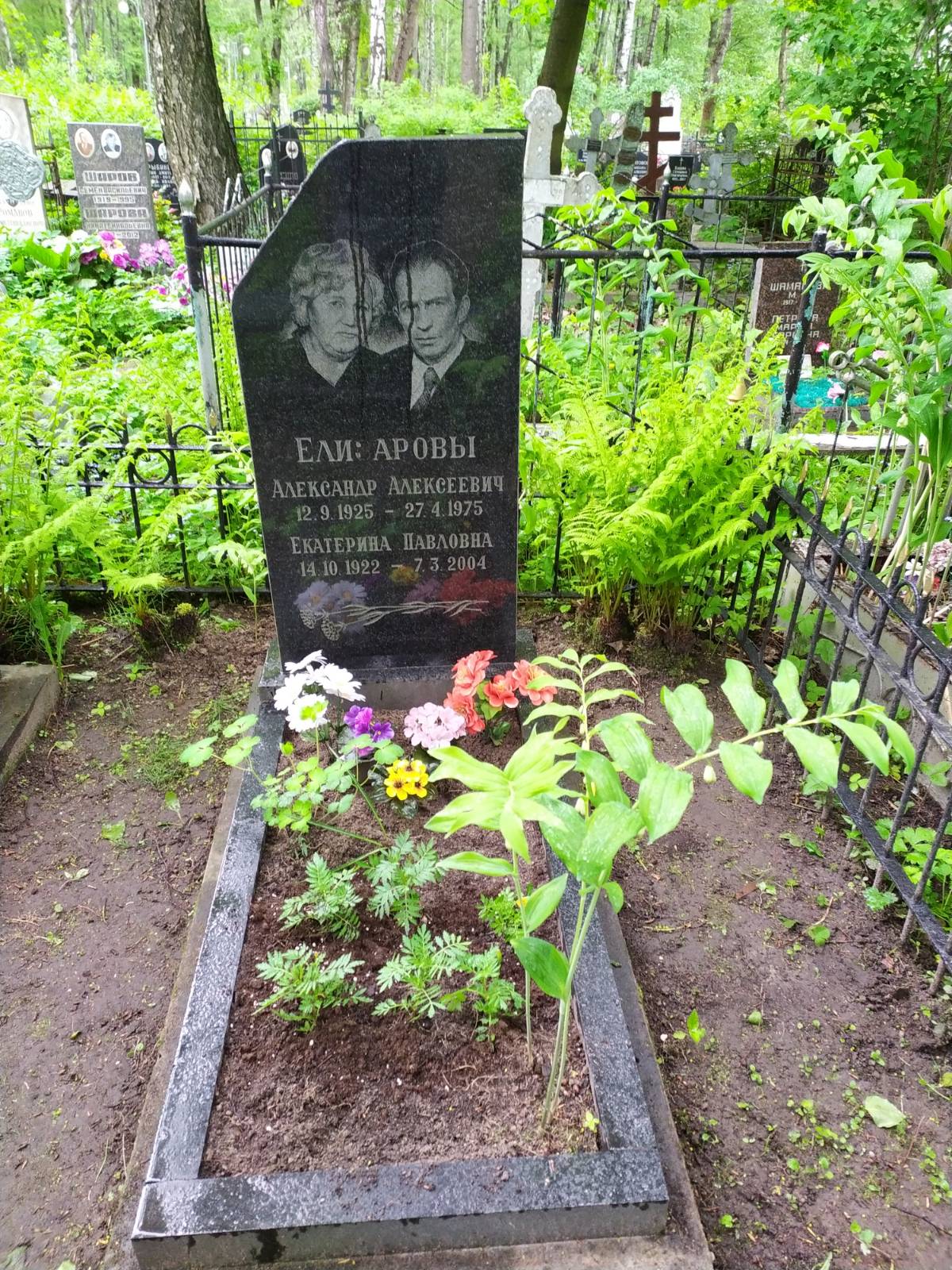 Елизаров Александр Алексеевич
