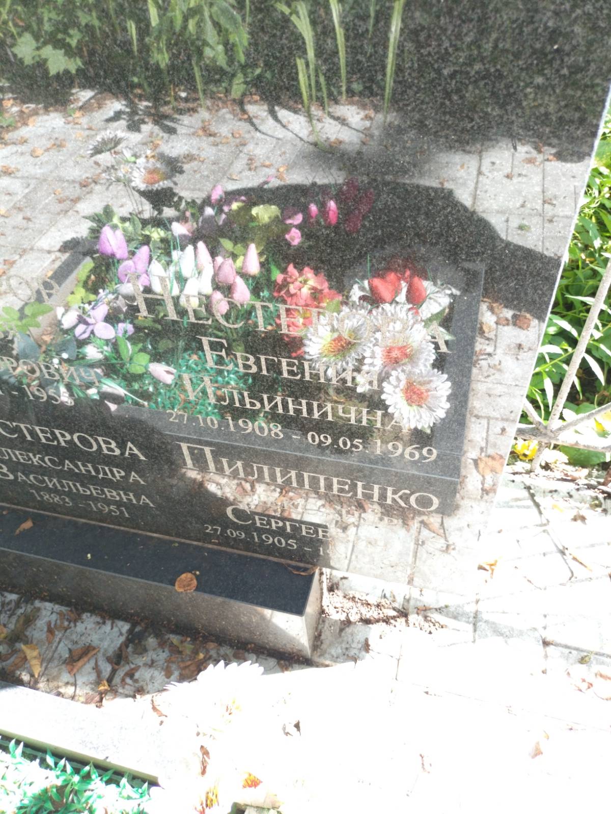 Нестерова Евгения Ильинична