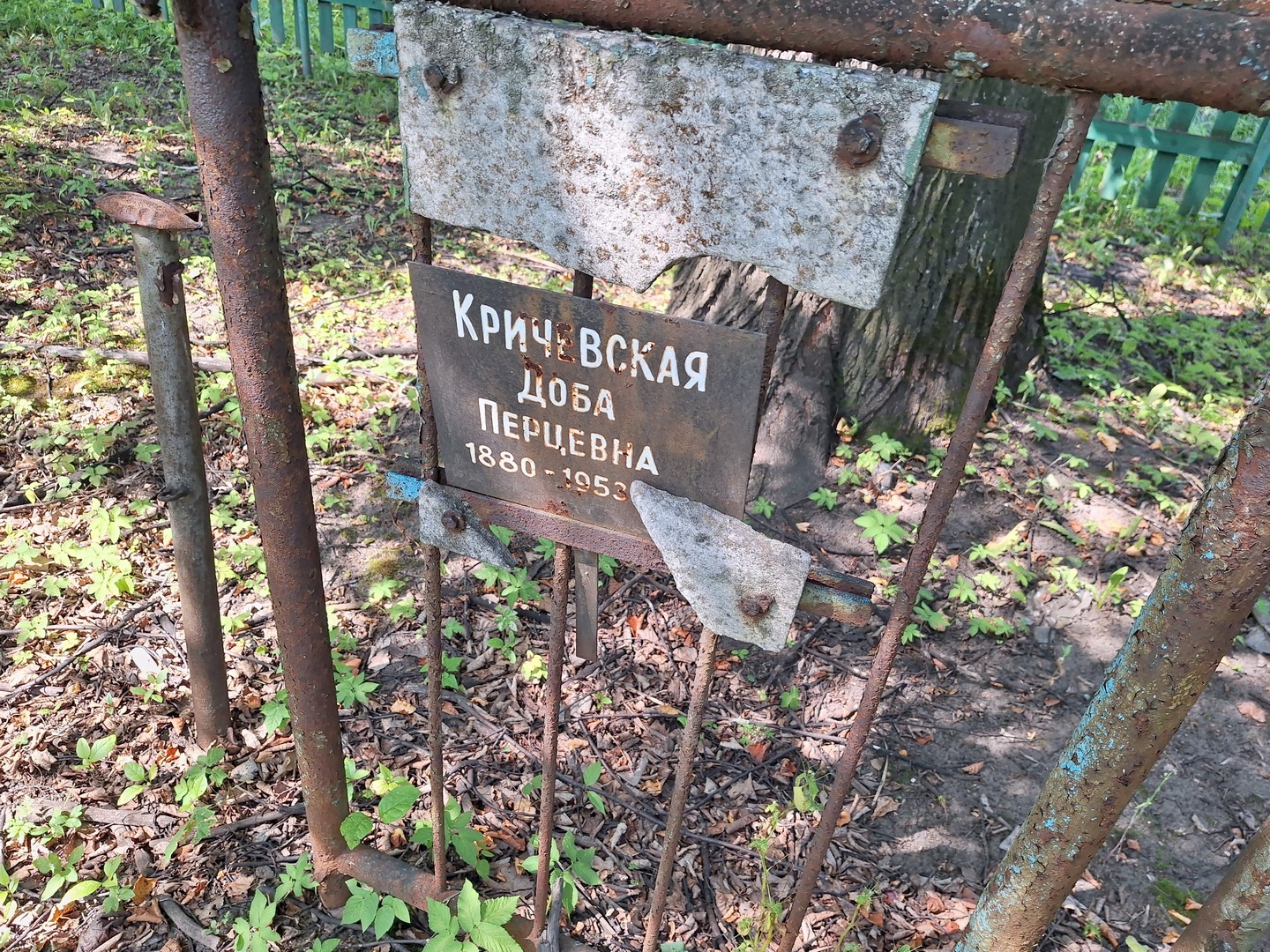 Доба Кричевская Перцевна