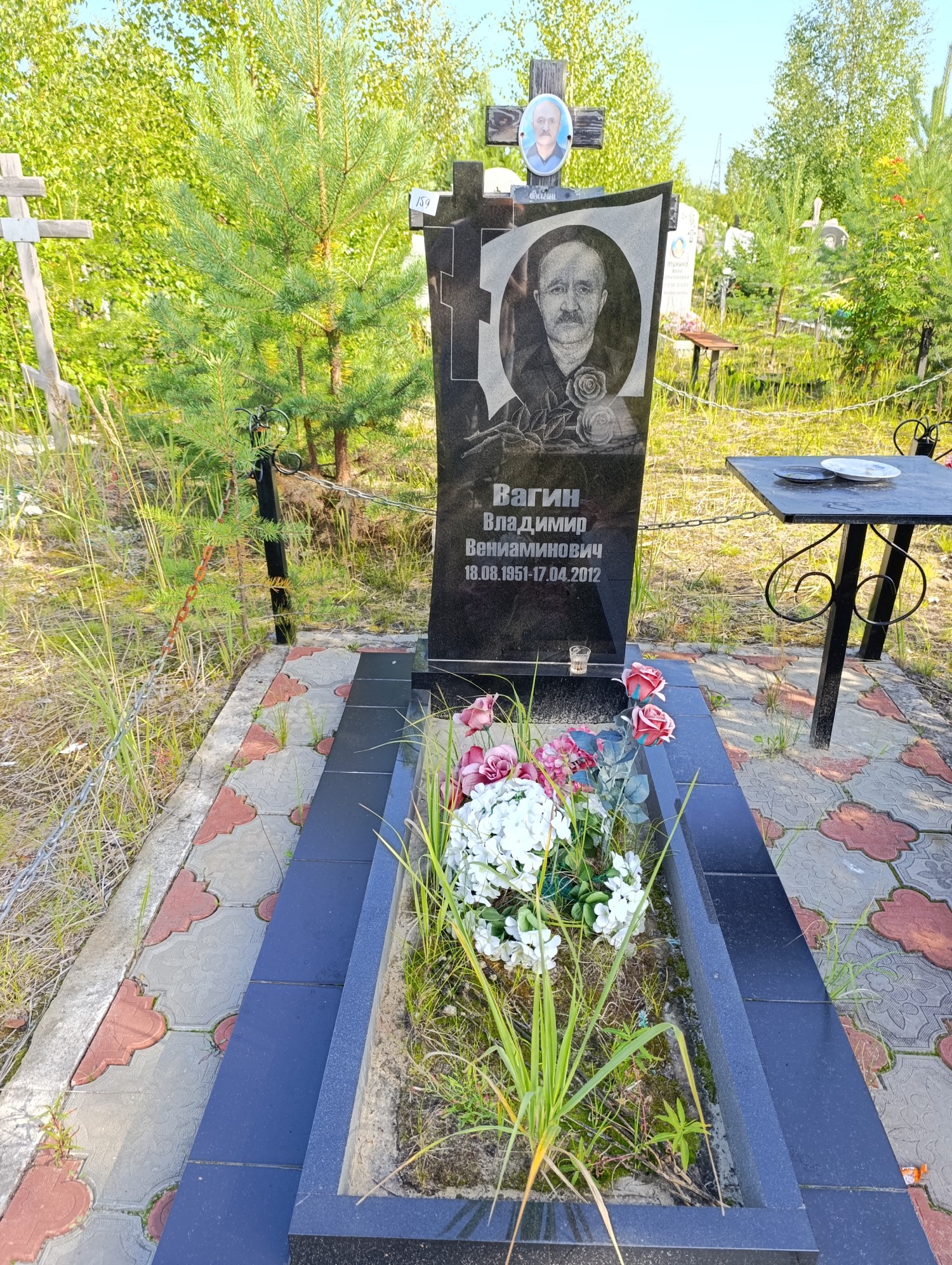 Вагин Владимир Вениаминович