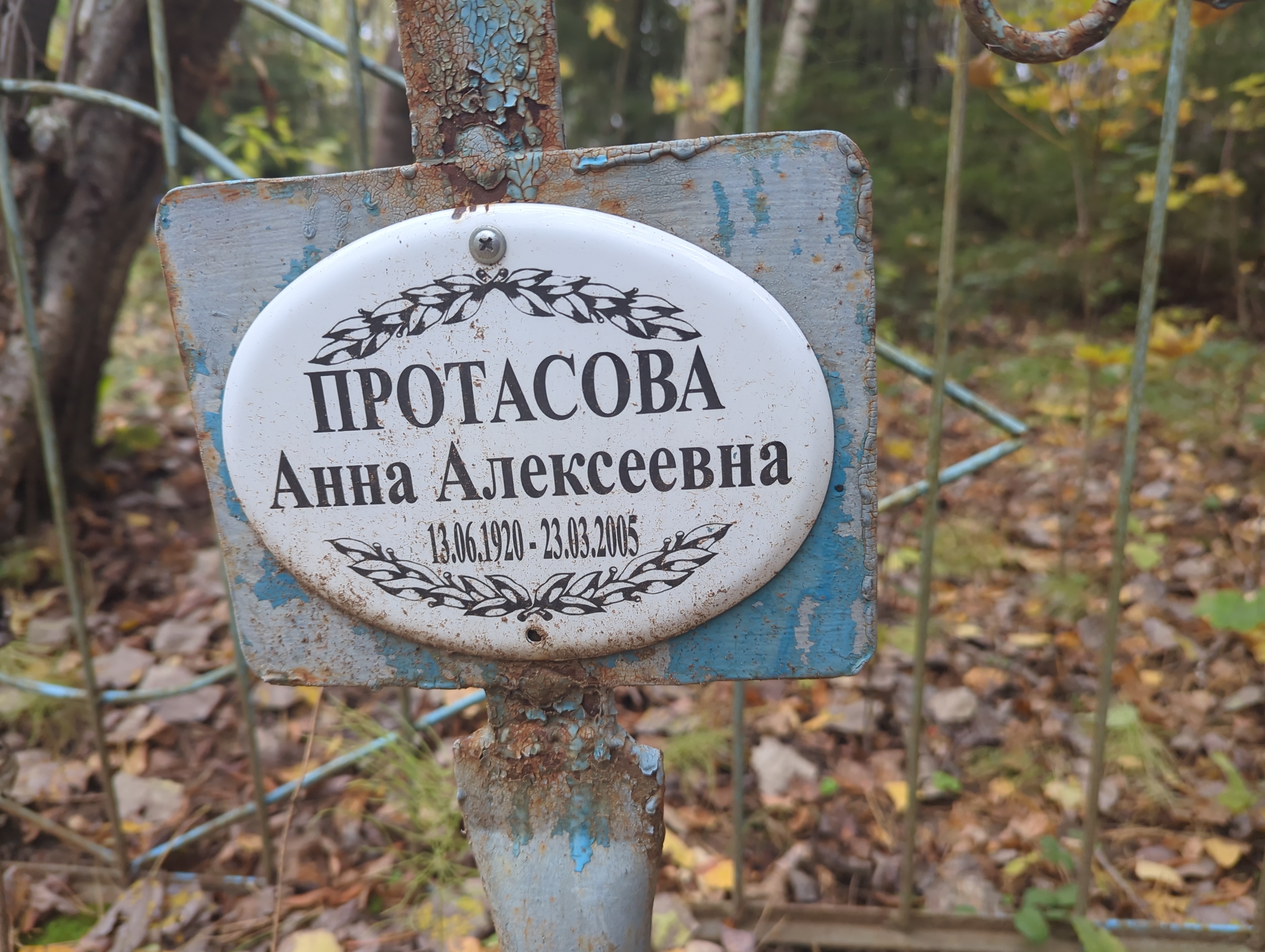 Протасова Анна Алексеевна