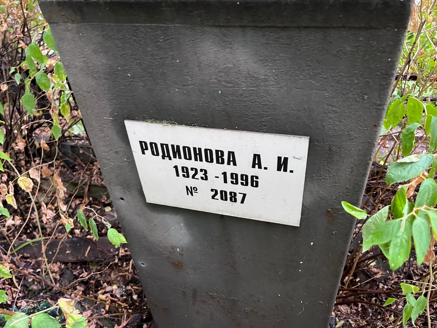 А Родионова И