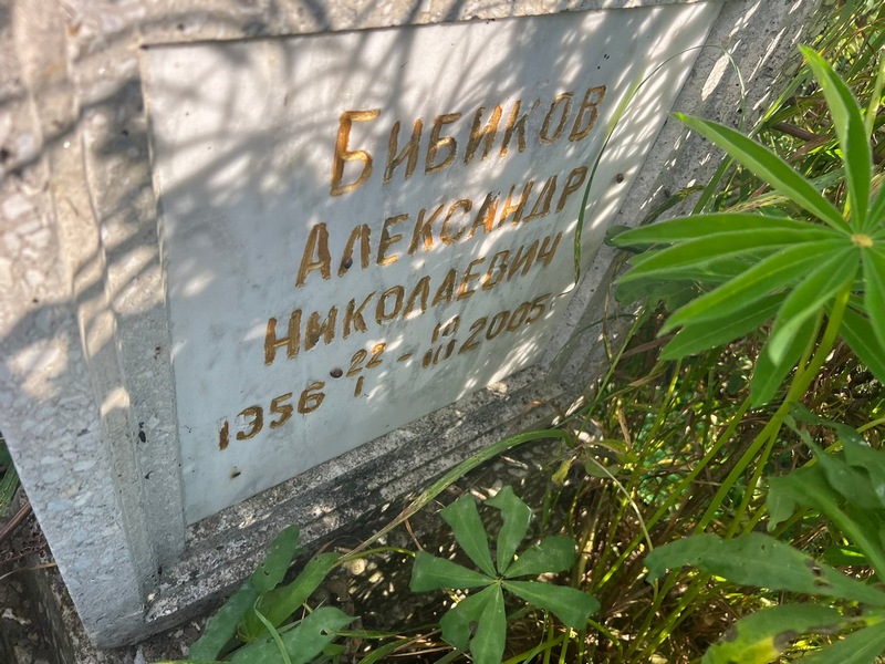 Бибиков