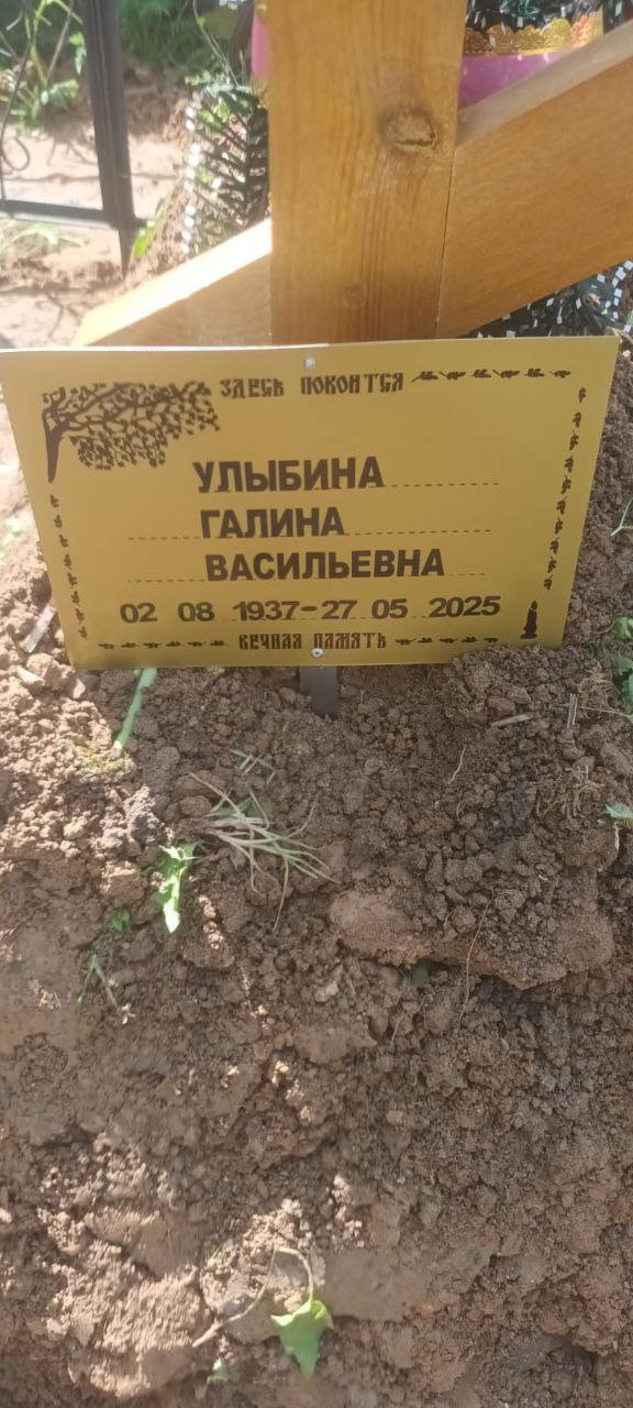 Улыбина