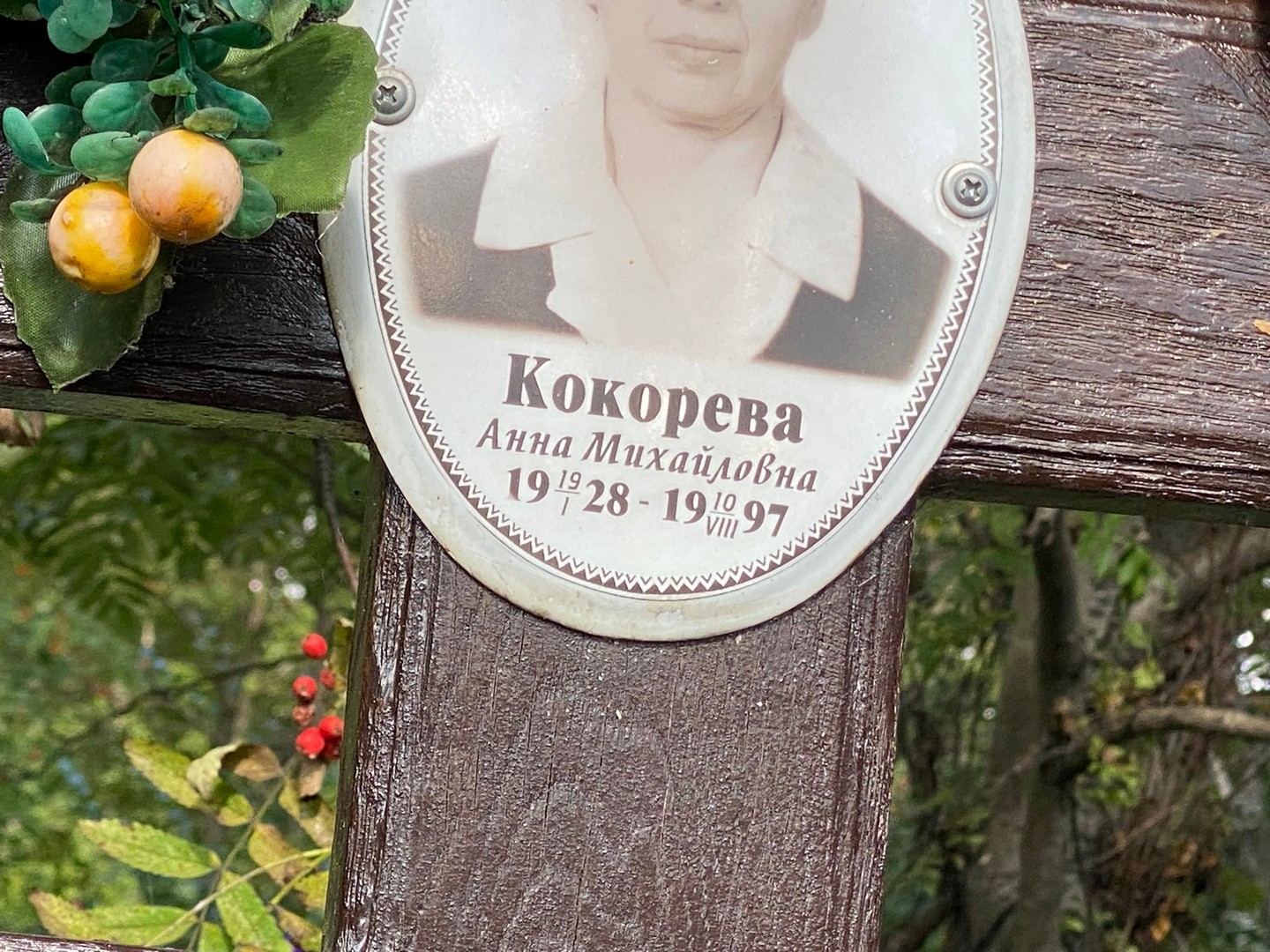 Кокорева