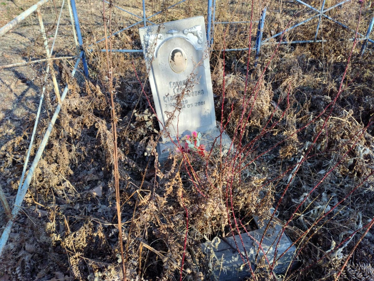 Соколова Галина Станиславовна