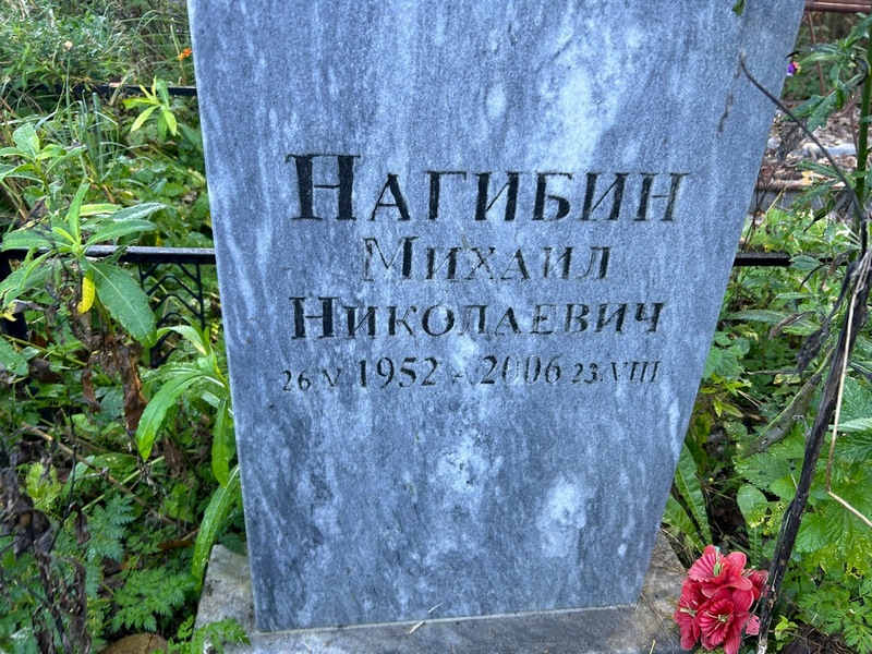 Нагибин