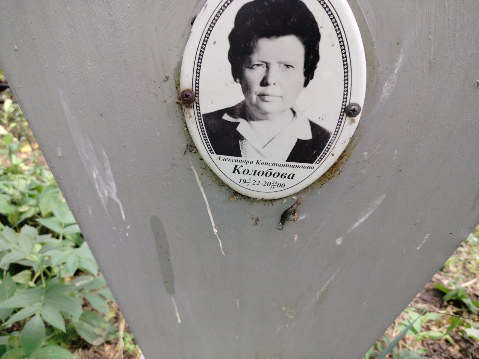 Колобова Александра Константиновна