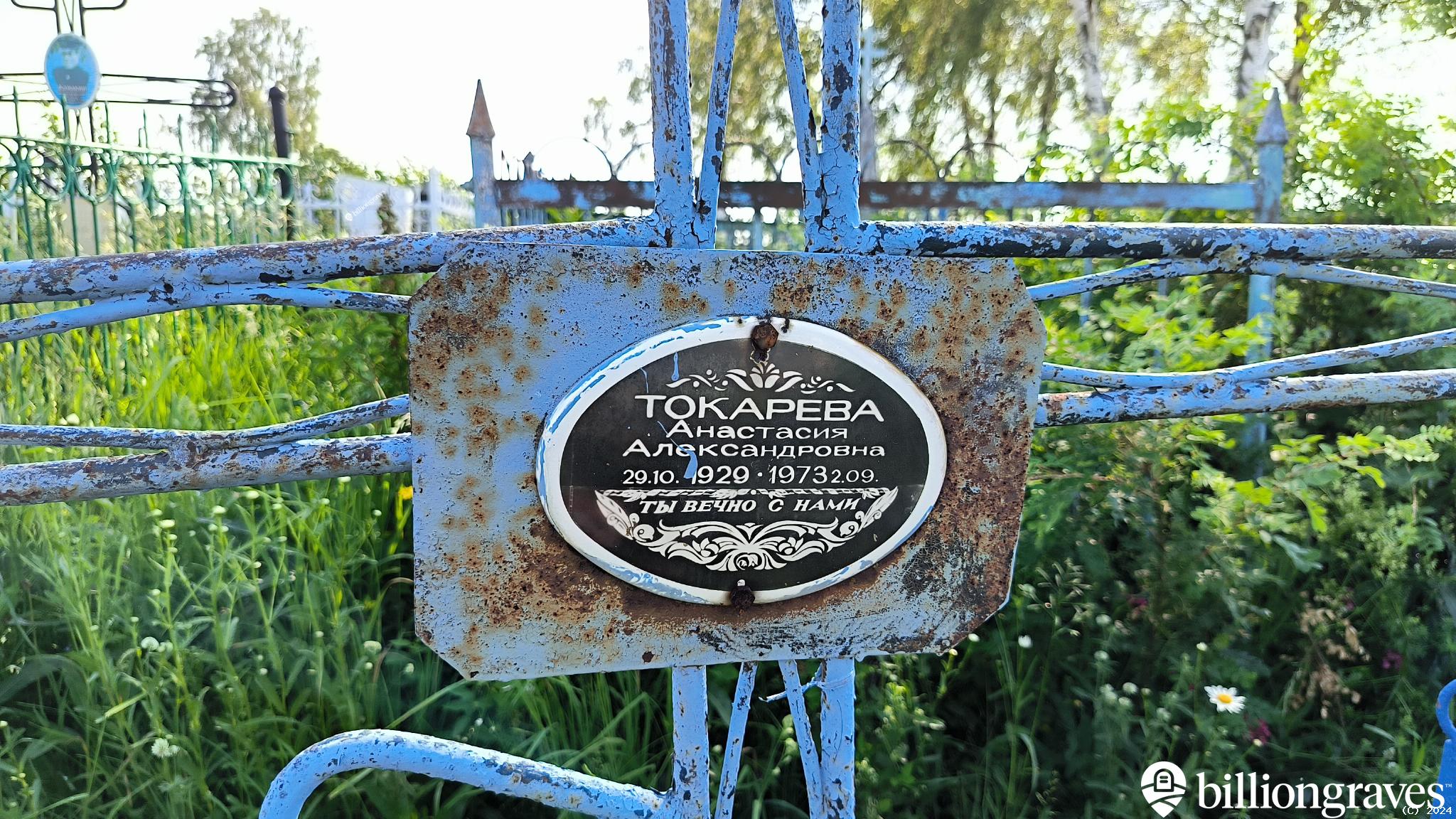 Токарева Анастасия Александровна