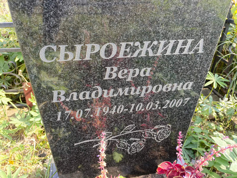 Сыроежина