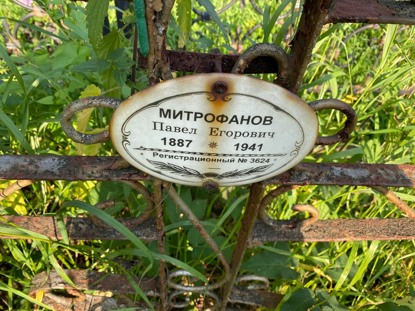 Митрофанов