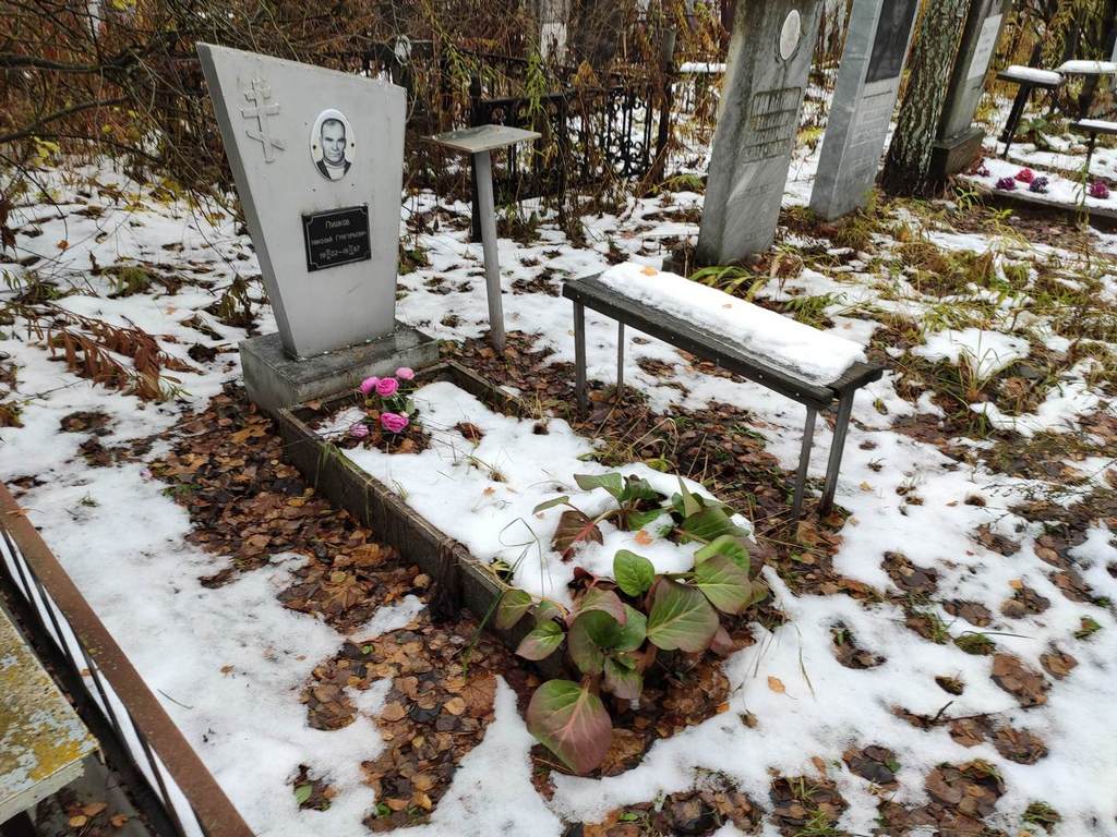 Пушков Николай Григорьевич