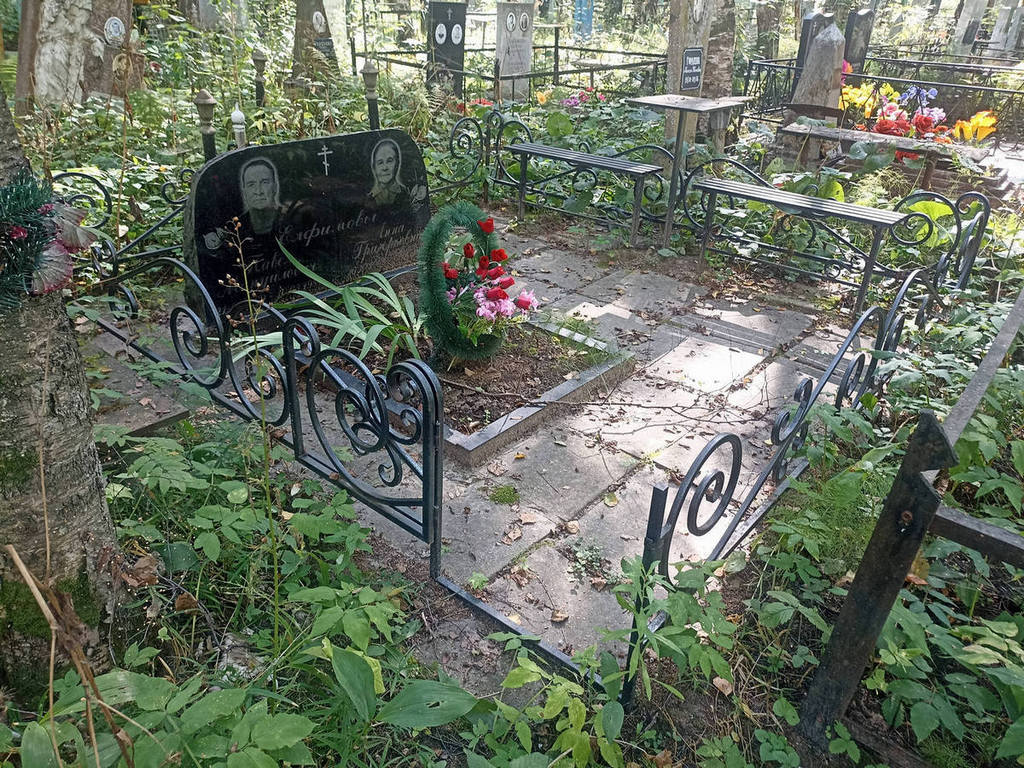 Елфимов Павел Мануилович