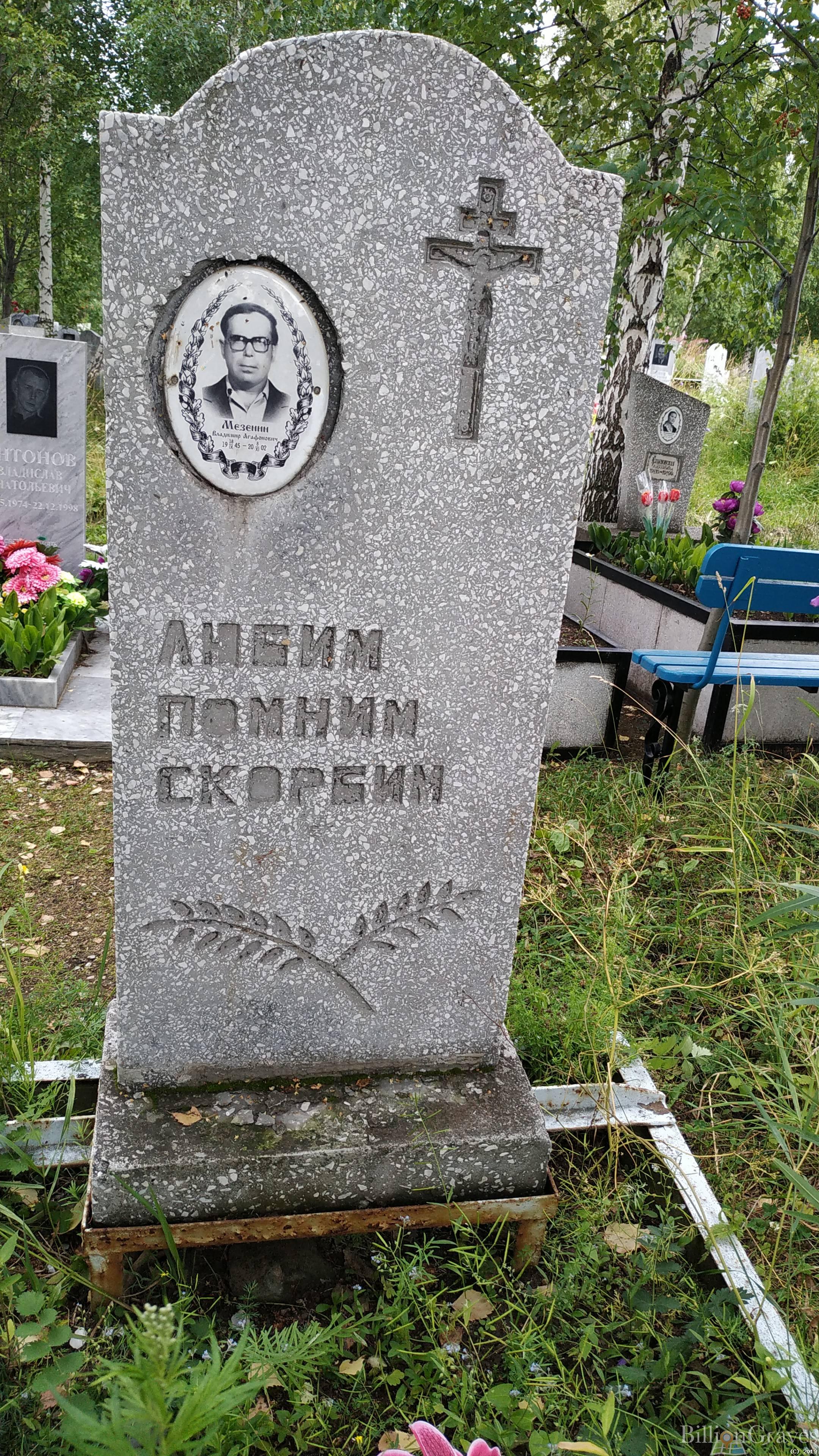 Мезенин Владимир Агафонович