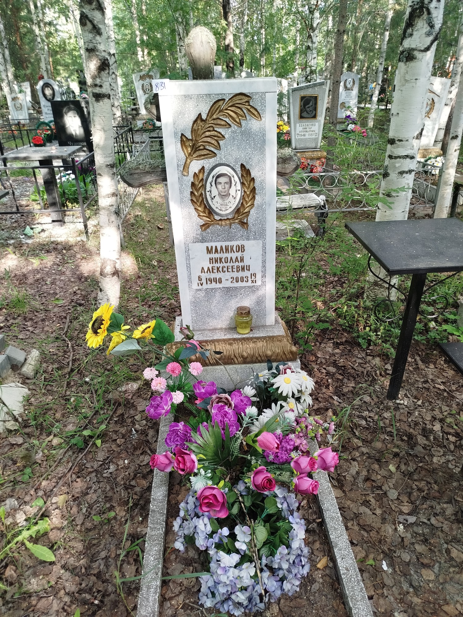 Маликов Николай Алексеевич