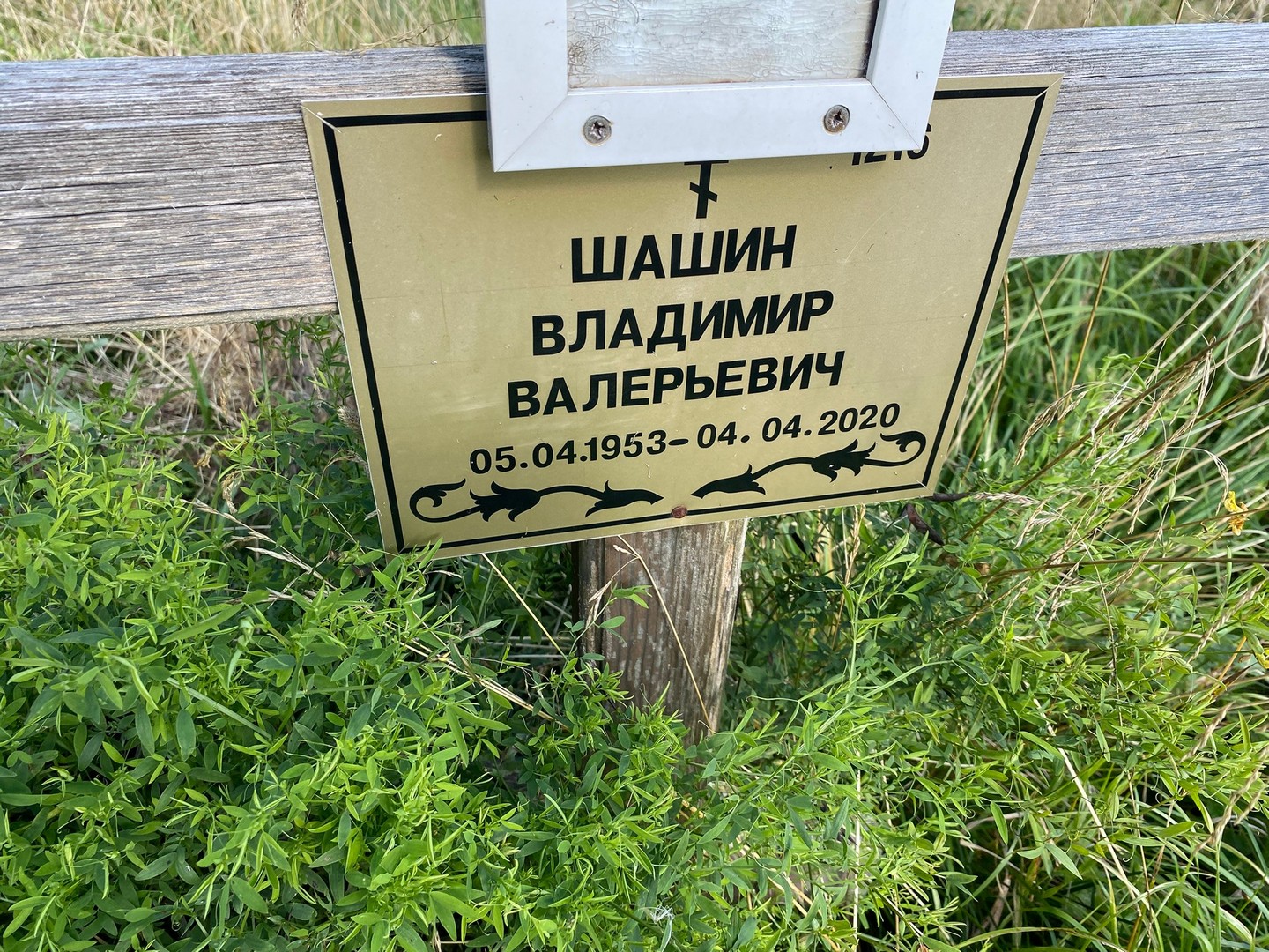 Шашин