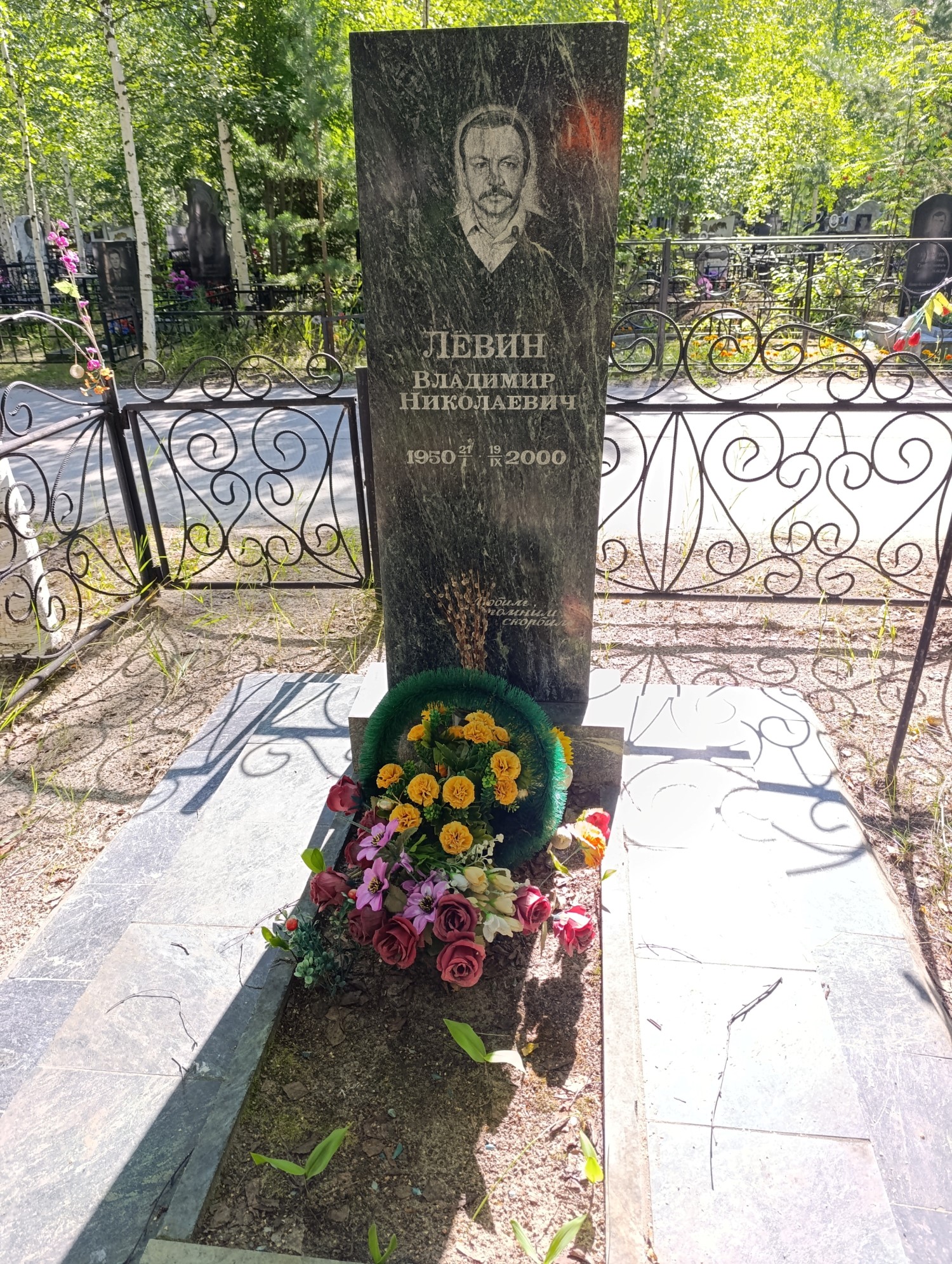 Левин Владимир Николаевич