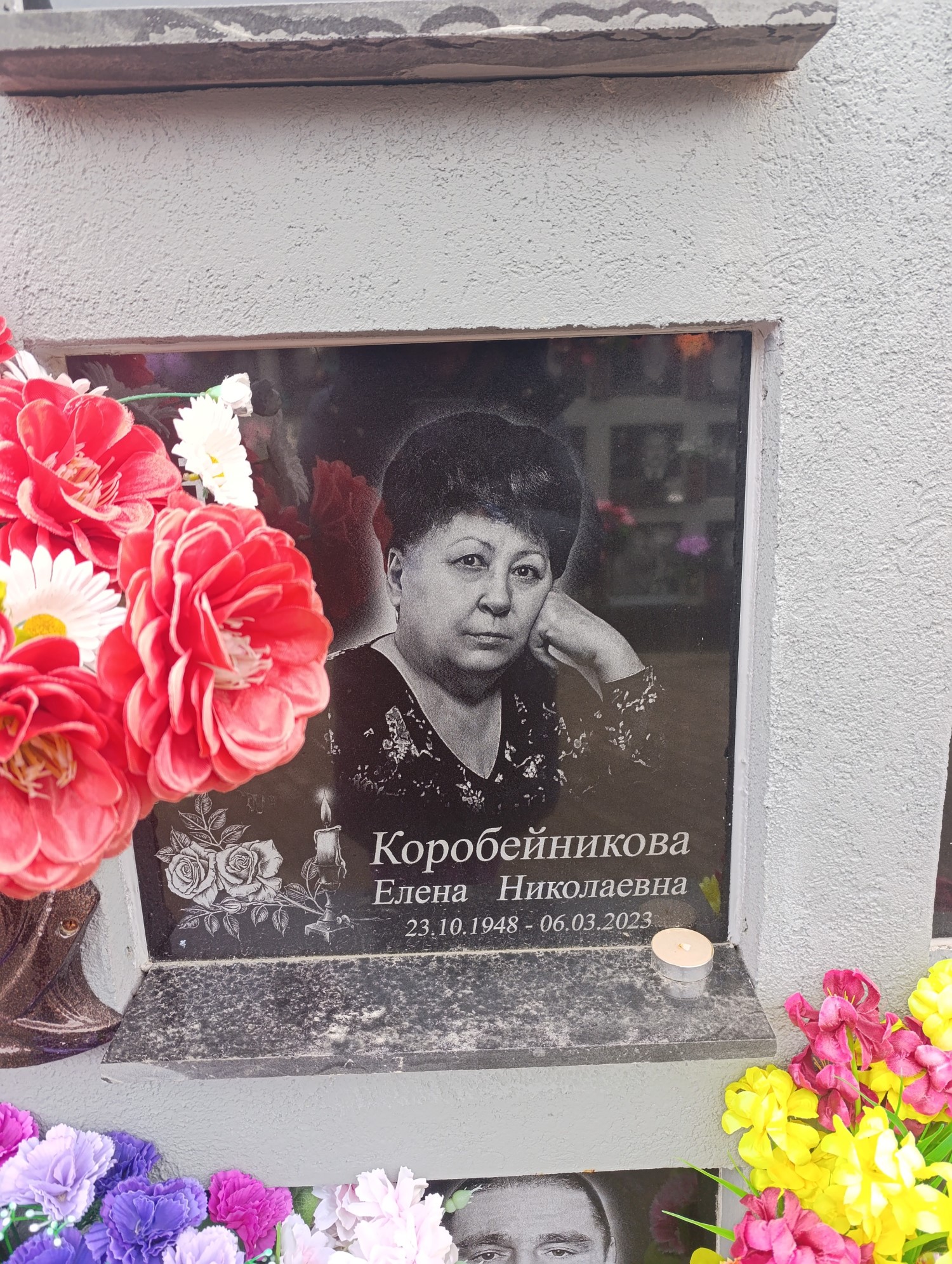 Коробейникова Елена Николаевна