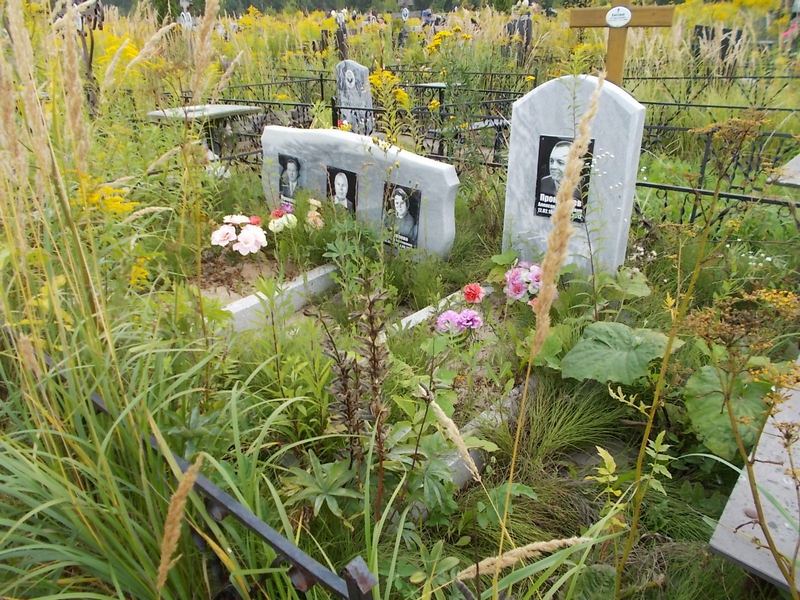 Прокофьев Александр Юрьевич