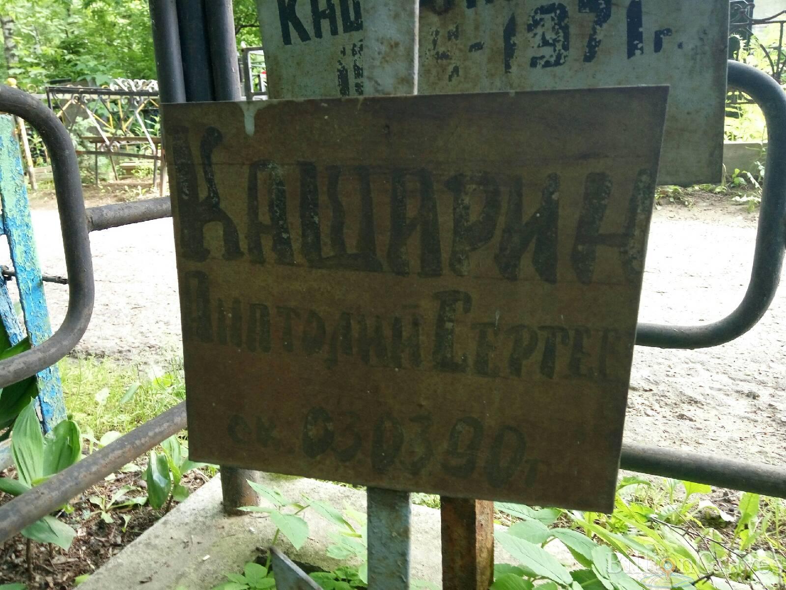 Каширин Анатолий