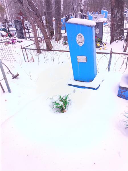 Данилова Анна Александровна