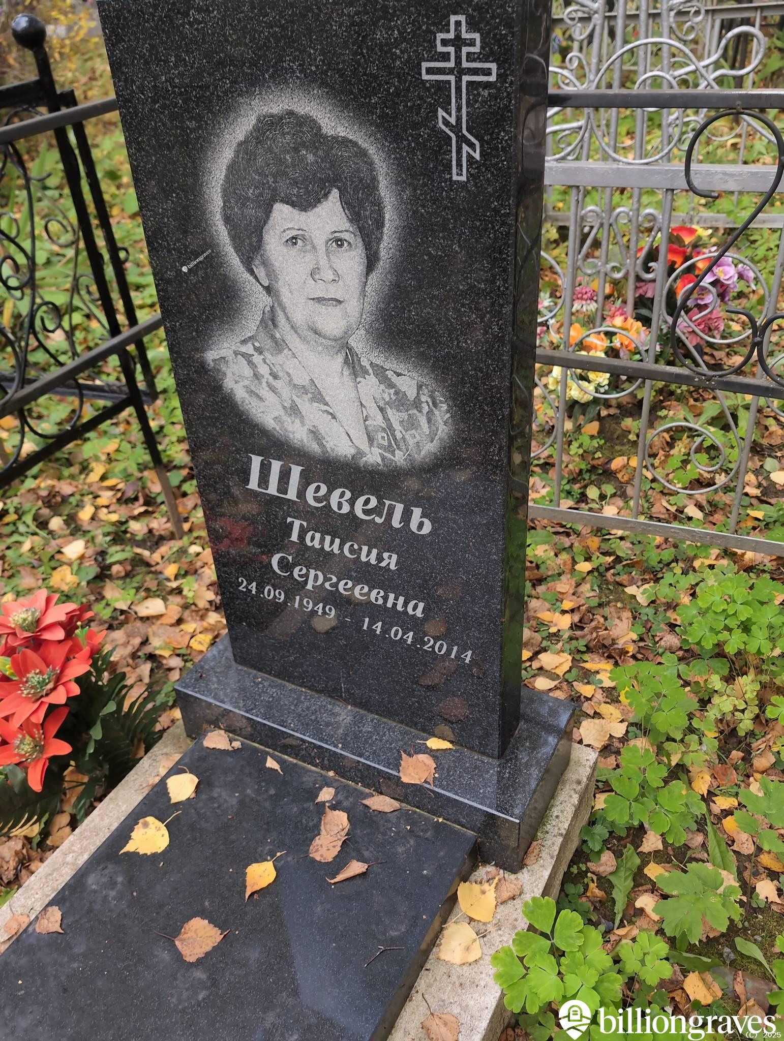 Шевель Таисия Сергеевна