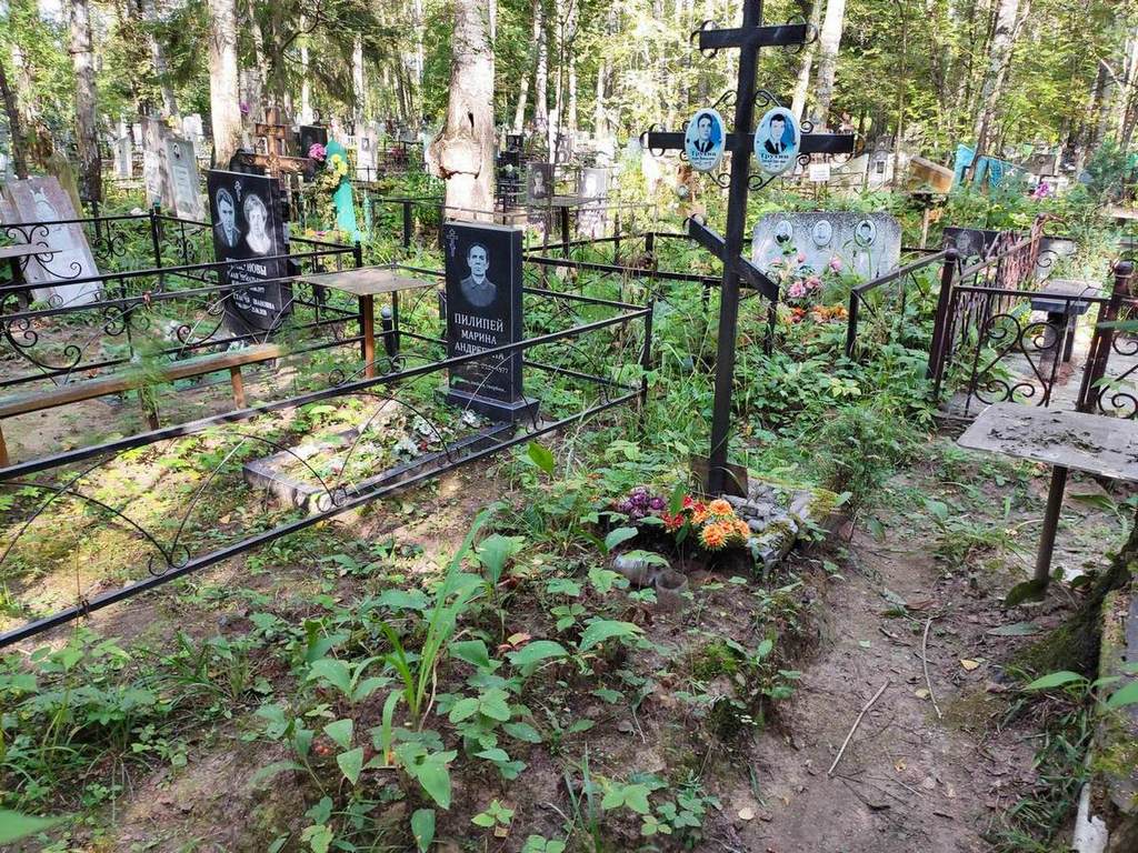 Трухин Дмитрий Борисович