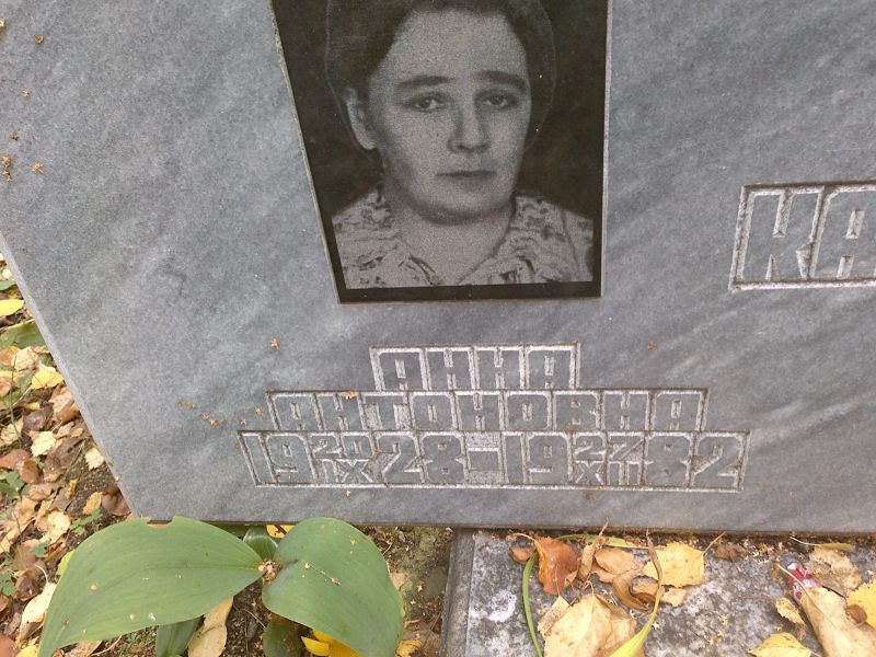 Кашина