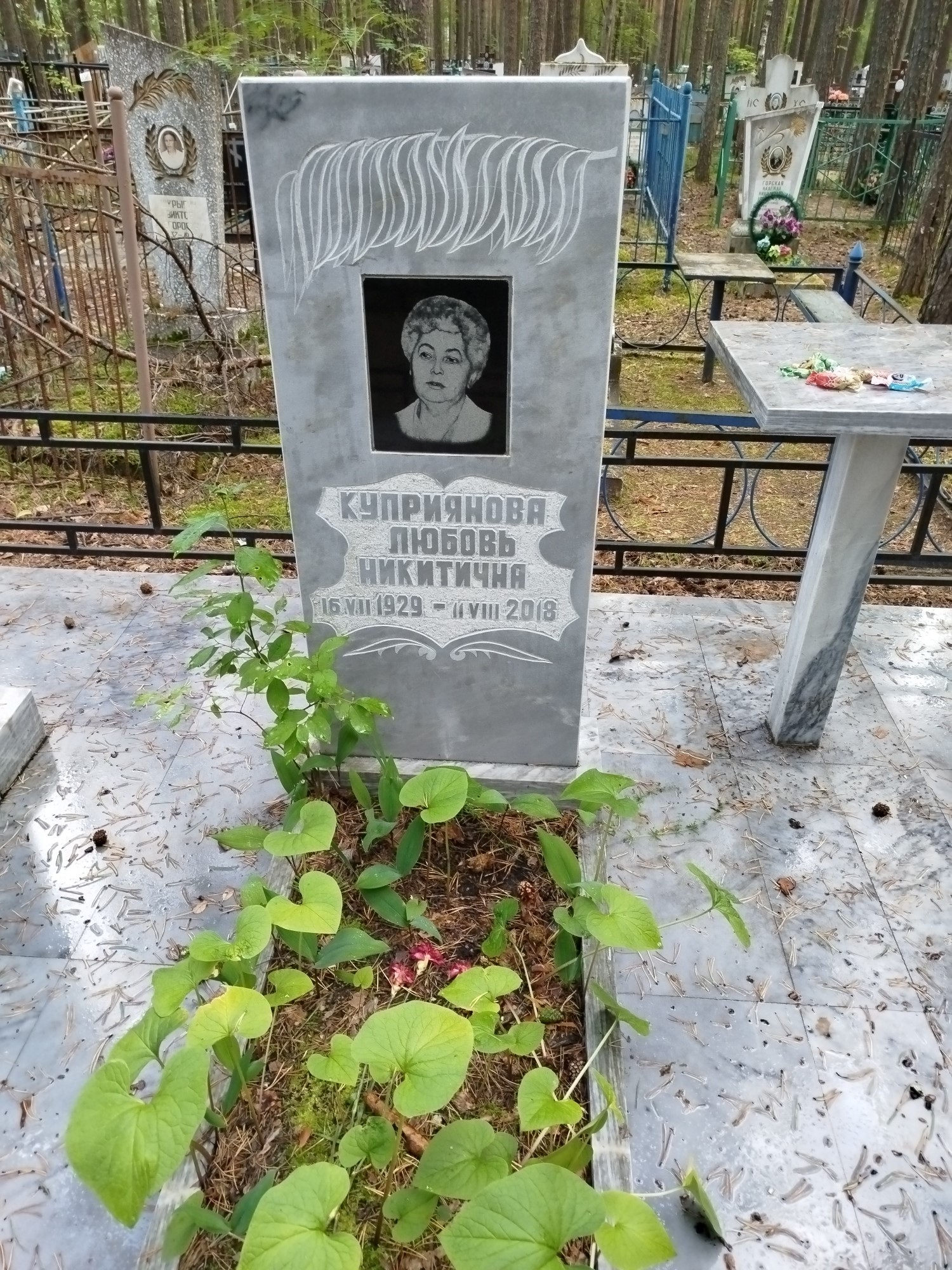 Куприянова Любовь Никитична
