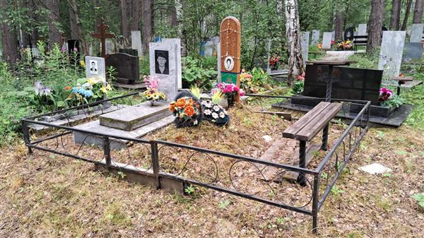 Сафин Илсур Тимергалиевич