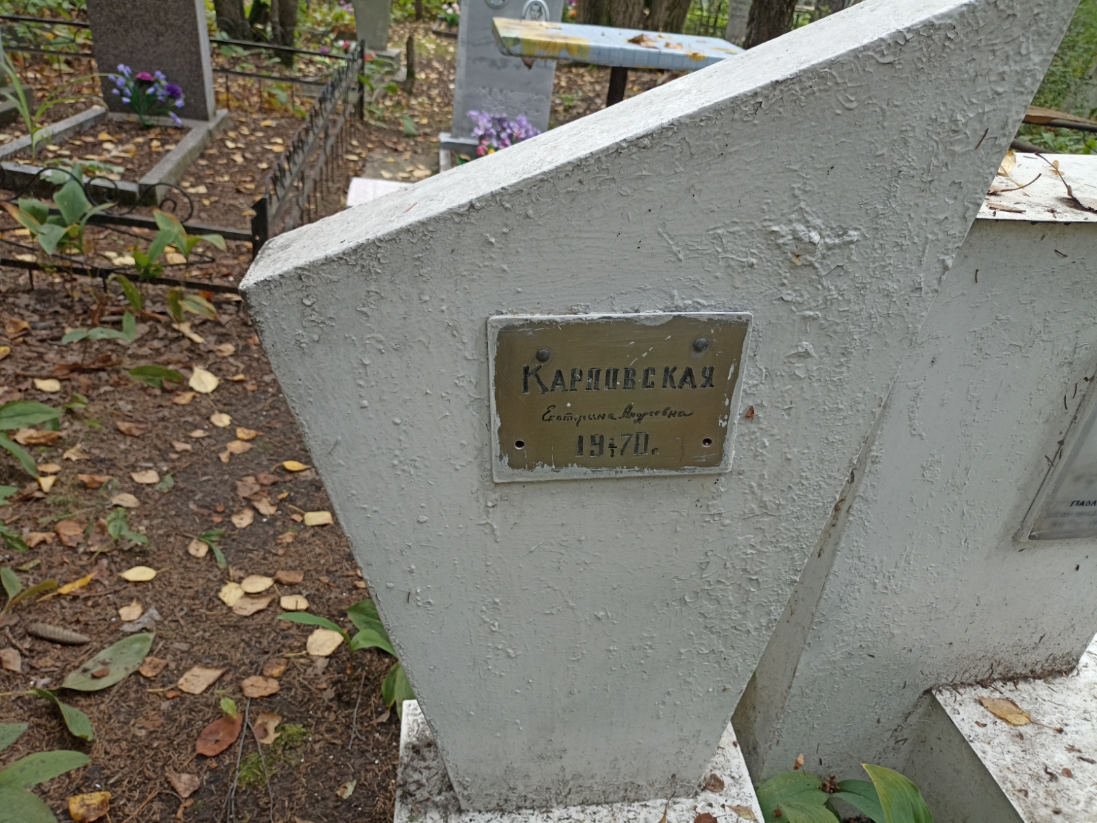 Карловская Екатерина Андреевна
