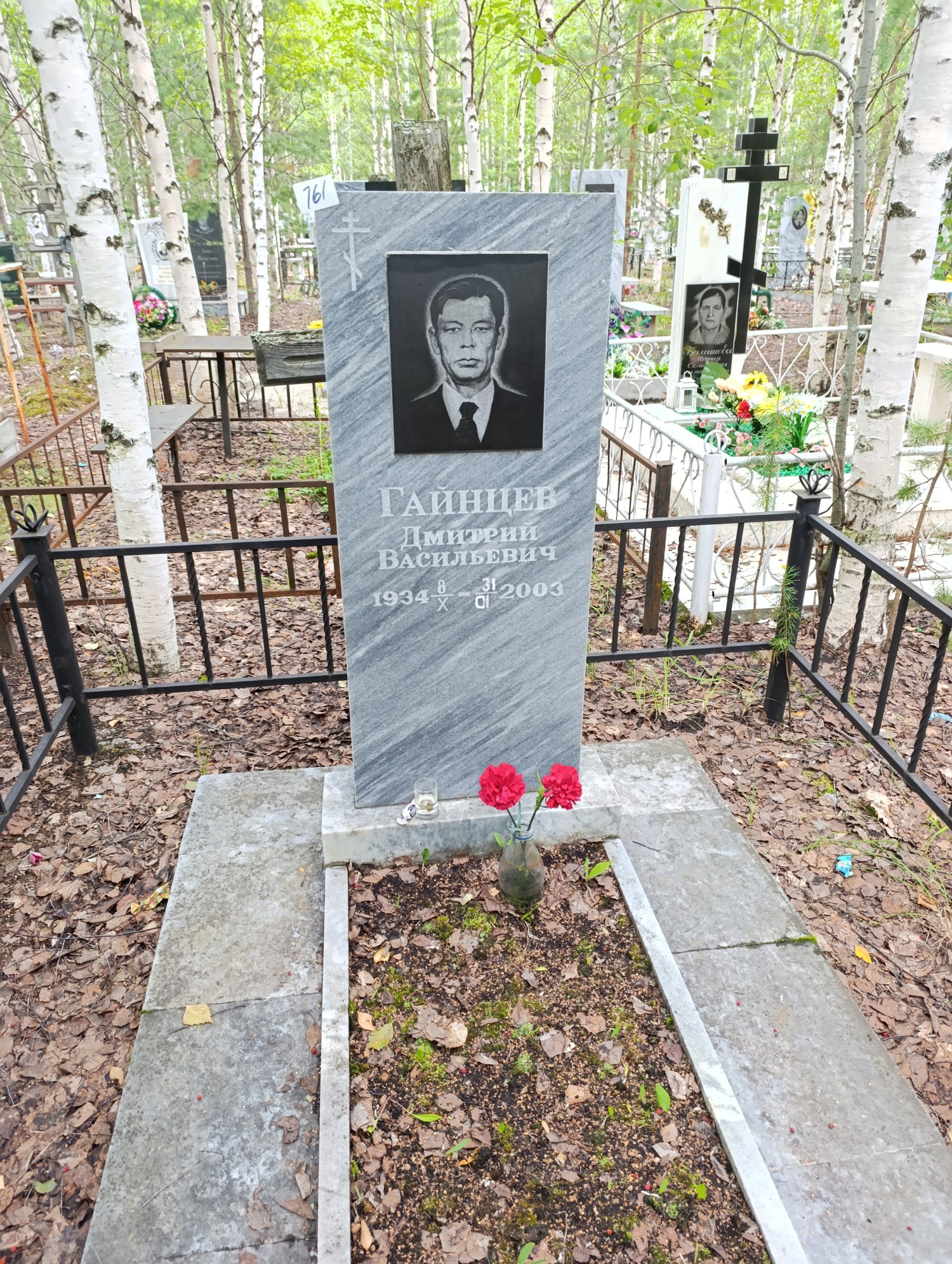 Гайнцев Дмитрий Васильевич